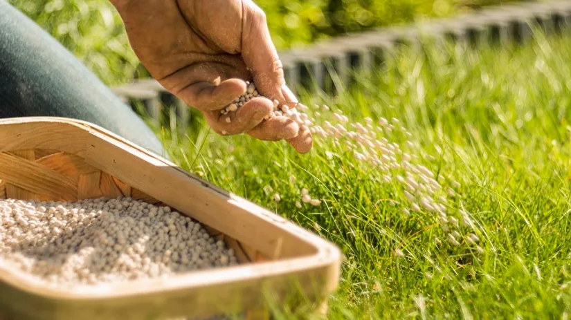 kalk-bio-vierkant.jpg kalk-bio-vierkant.jpg