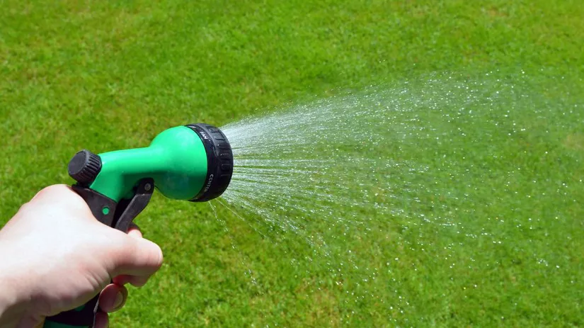 Gras sproeien na zaaien Gras sproeien na zaaien