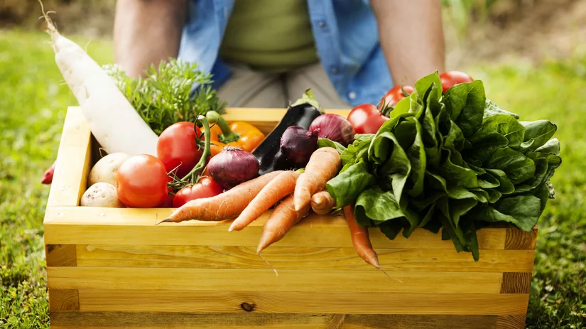Een moestuin voor beginners Een moestuin voor beginners