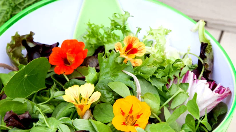 Bloemetjes op je bord Bloemetjes op je bord