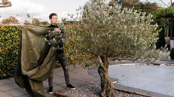 Tips om jouw tuinplanten te beschermen tegen kou Tips om jouw tuinplanten te beschermen tegen kou