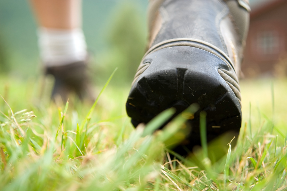 Hoe lang niet lopen op gezaaid gras?