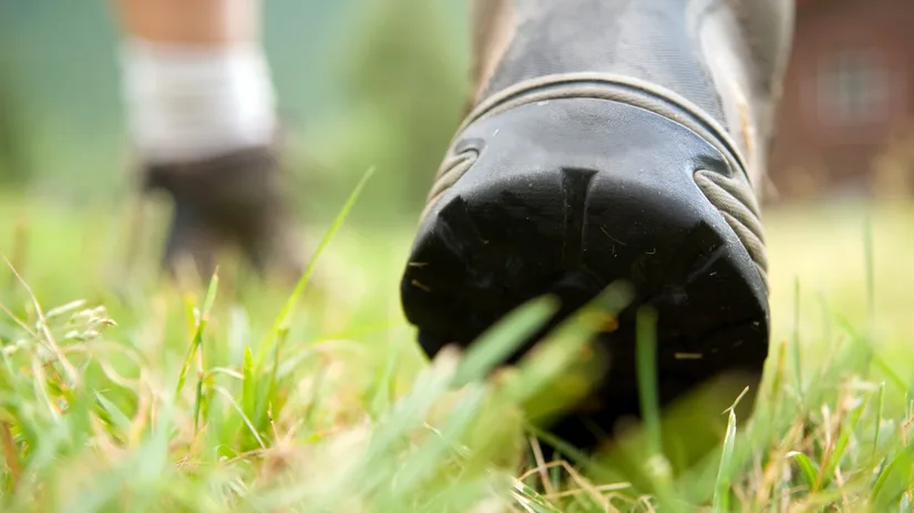 Hoe lang niet lopen op gezaaid gras? Hoe lang niet lopen op gezaaid gras?