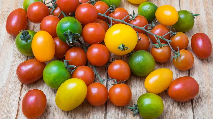 Gele en rode tomaten.jpg Gele en rode tomaten.jpg