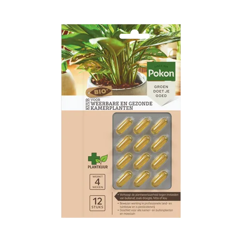 Verpakking met twaalf gouden capsules: capsules in blister naast foto van een groene kamerplant, gepresenteerd als plantkuur voor gezonde, weerbare kamerplanten op een winkelkaart.
Tekst op de afbeelding:
SINCE 1929
Pokon
GROEN DOET JE GOED
BIO
KUUR
VOOR