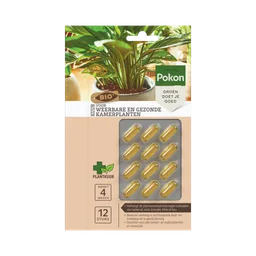 Verpakking met twaalf gouden capsules: capsules in blister naast foto van een groene kamerplant, gepresenteerd als plantkuur voor gezonde, weerbare kamerplanten op een winkelkaart.
Tekst op de afbeelding:
SINCE 1929
Pokon
GROEN DOET JE GOED
BIO
KUUR
VOOR