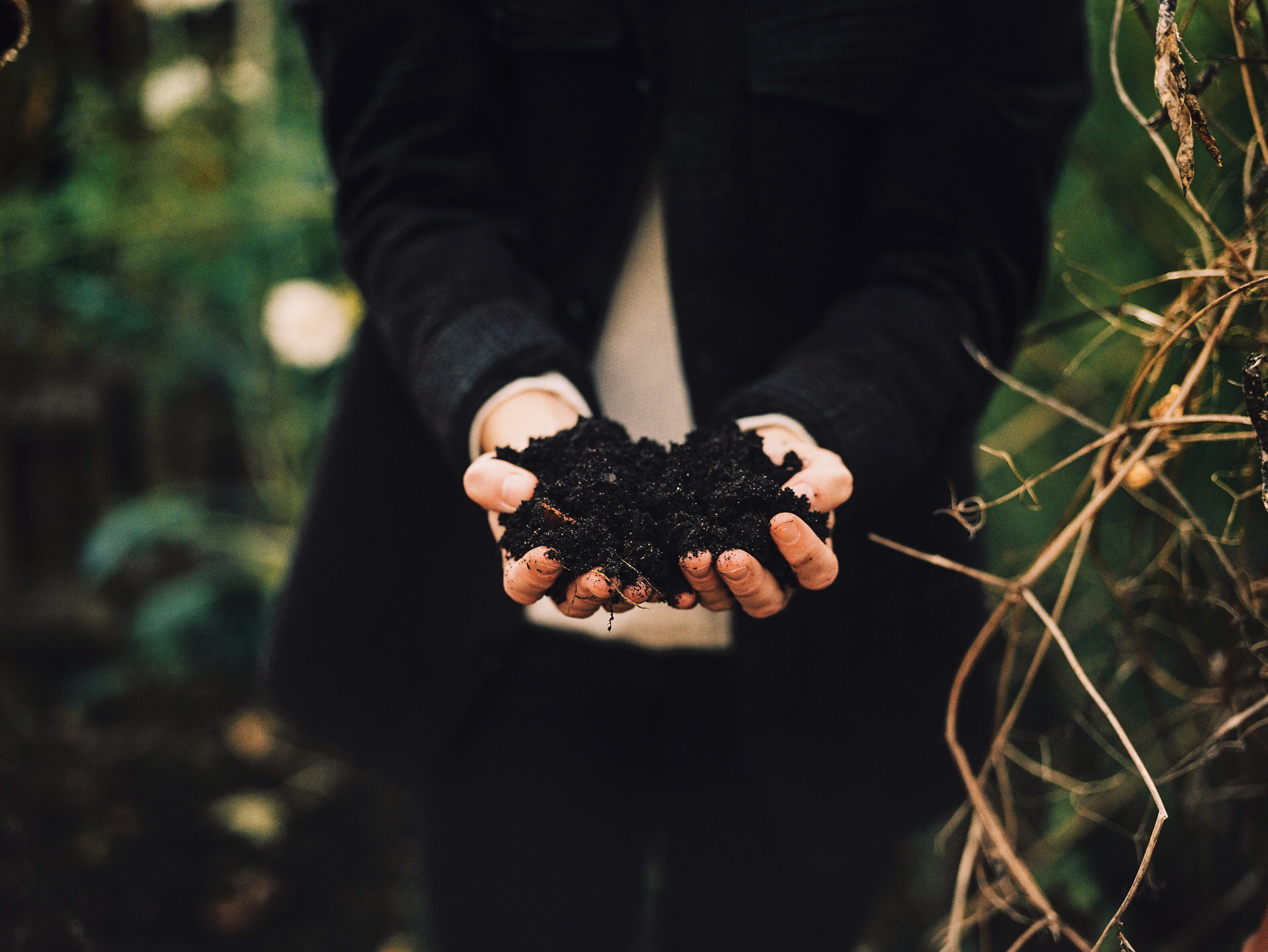 Bodem verbeteren in de moestuin