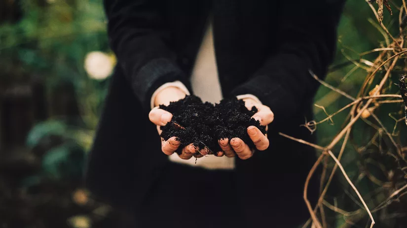 Bodem verbeteren in de moestuin Bodem verbeteren in de moestuin