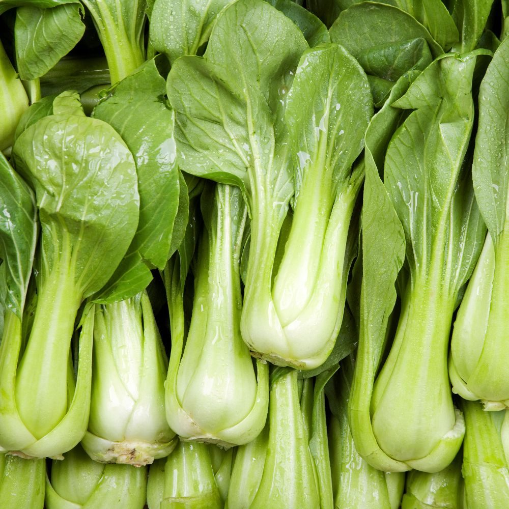 Bosjes paksoi met lichtgroene, vlezige stengels en donkergroene bladeren liggen dicht op elkaar, glanzend en bedekt met waterdruppels in een groenteopstelling (markt of supermarkt).