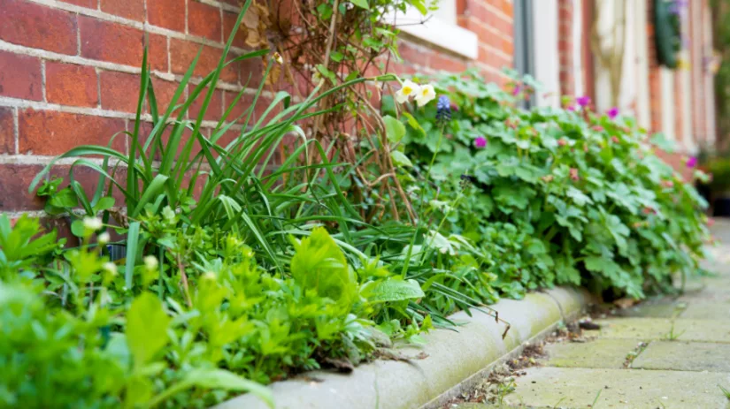 Doe jij ook mee aan NK Tegelwippen? Doe jij ook mee aan NK Tegelwippen?