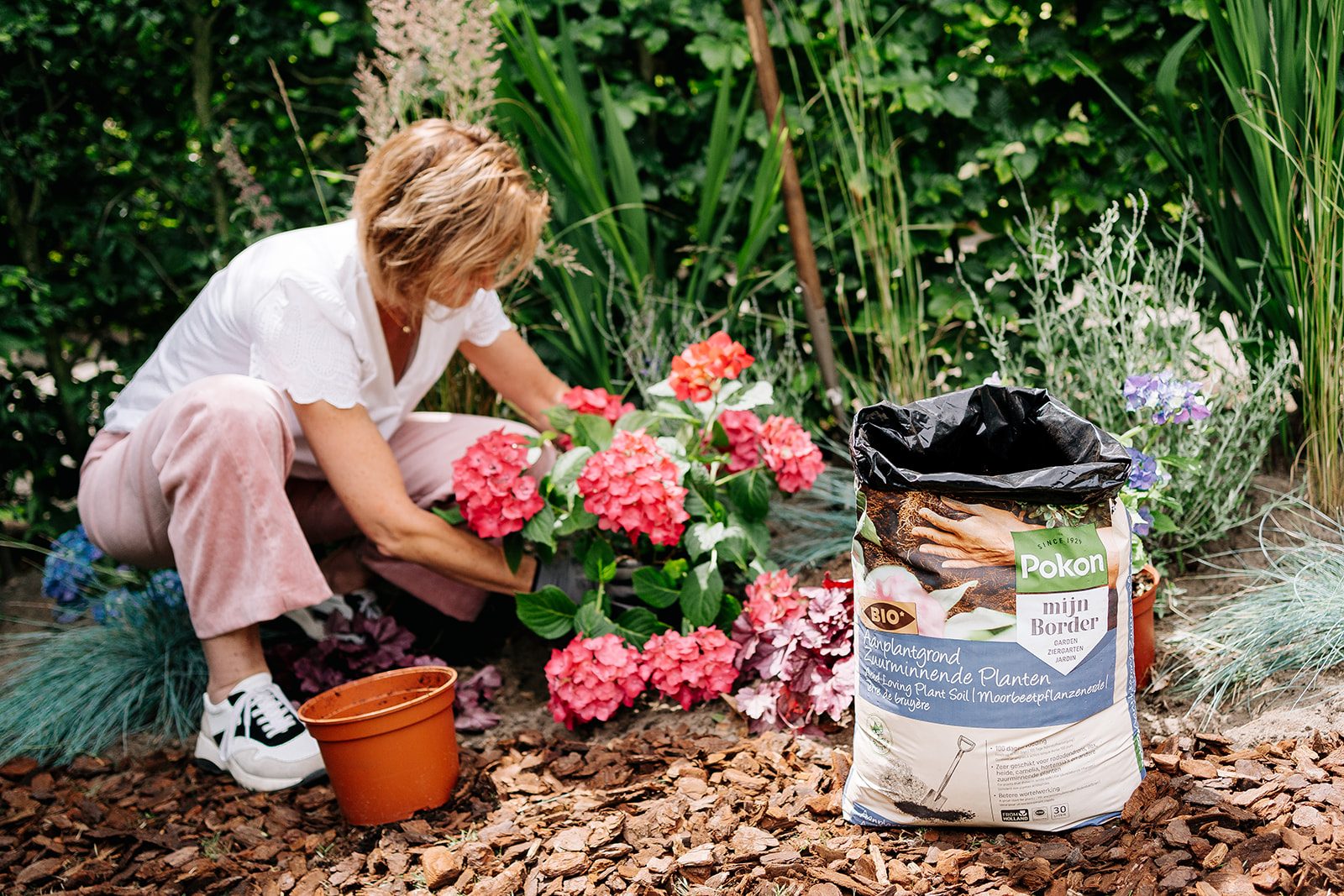 Zuurminnende planten
