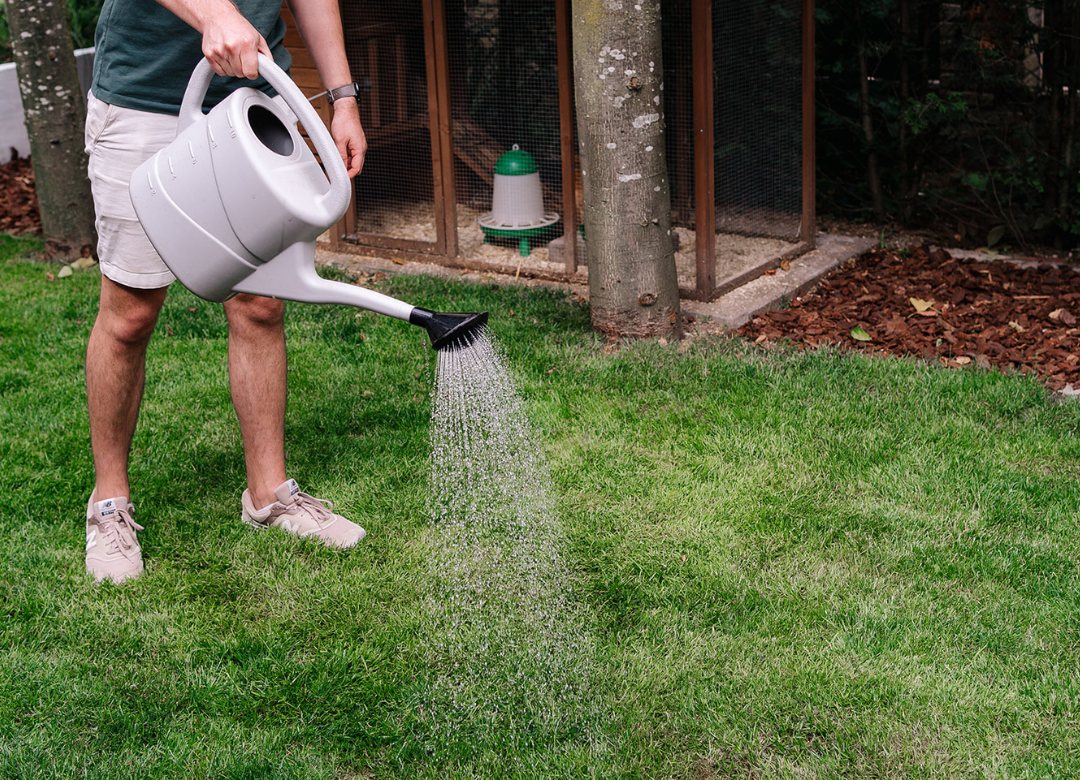 Wanneer emelten bestrijden?