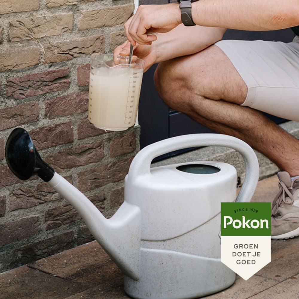 aaltjes tegen engerlingen