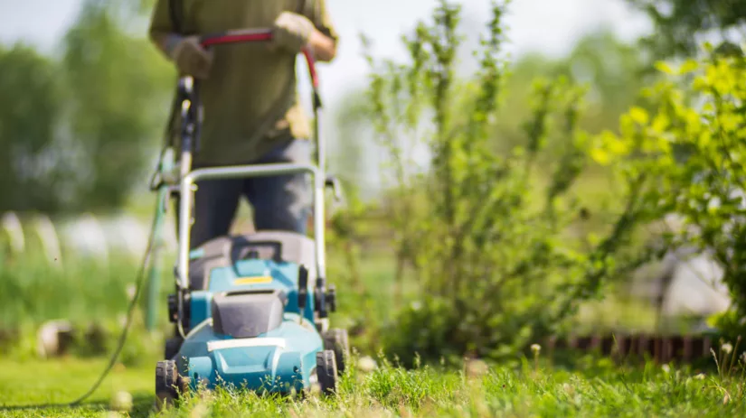 Wanneer gras maaien in het voorjaar? Wanneer gras maaien in het voorjaar?