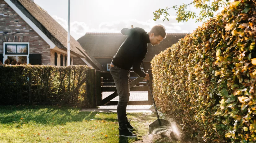 Gazon winterklaar maken Gazon winterklaar maken