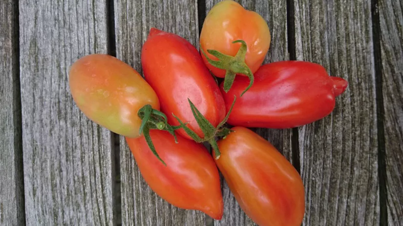 floor_foto2_san marzano.jpg floor_foto2_san marzano.jpg