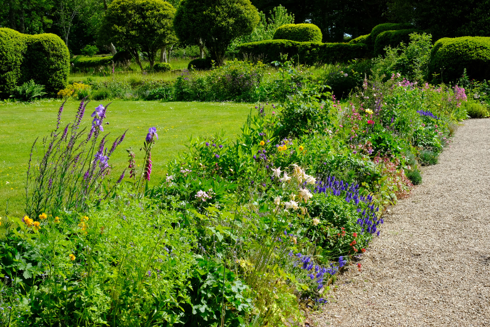 Border vullen met tuinaarde of potgrond? Border vullen met tuinaarde of potgrond?