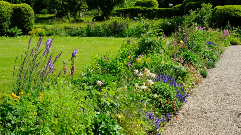 Border vullen met tuinaarde of potgrond? Border vullen met tuinaarde of potgrond?
