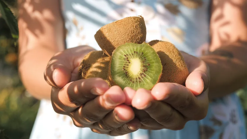 Kiwiplant: Zo kweek je zelf deze gezonde vrucht Kiwiplant: Zo kweek je zelf deze gezonde vrucht