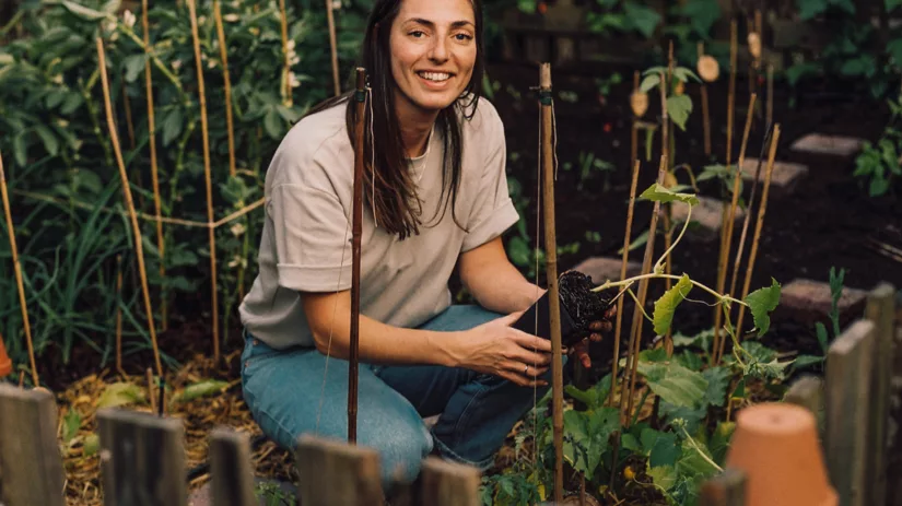 Beginnerstips in de moestuin Beginnerstips in de moestuin