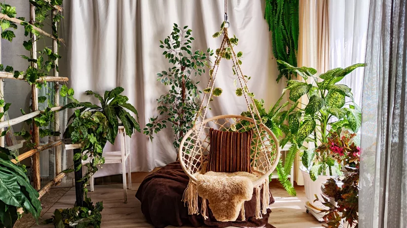 In 5 stappen heb jij een ontspannen plantenhoekje In 5 stappen heb jij een ontspannen plantenhoekje