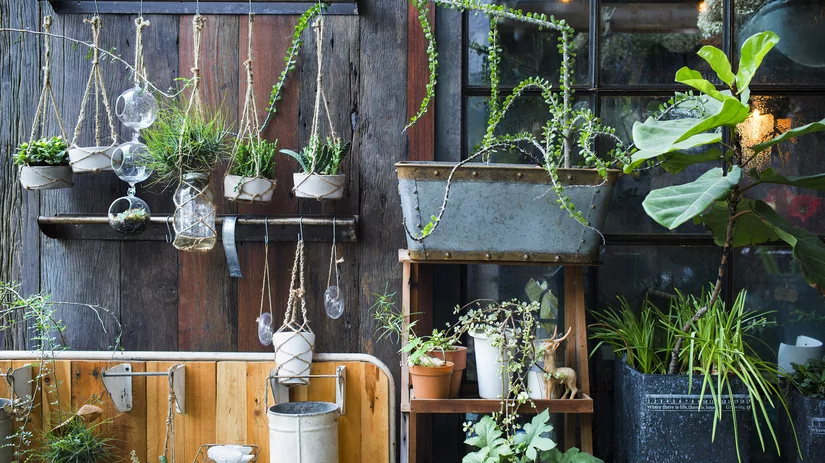 Moestuinieren in het klein Moestuinieren in het klein