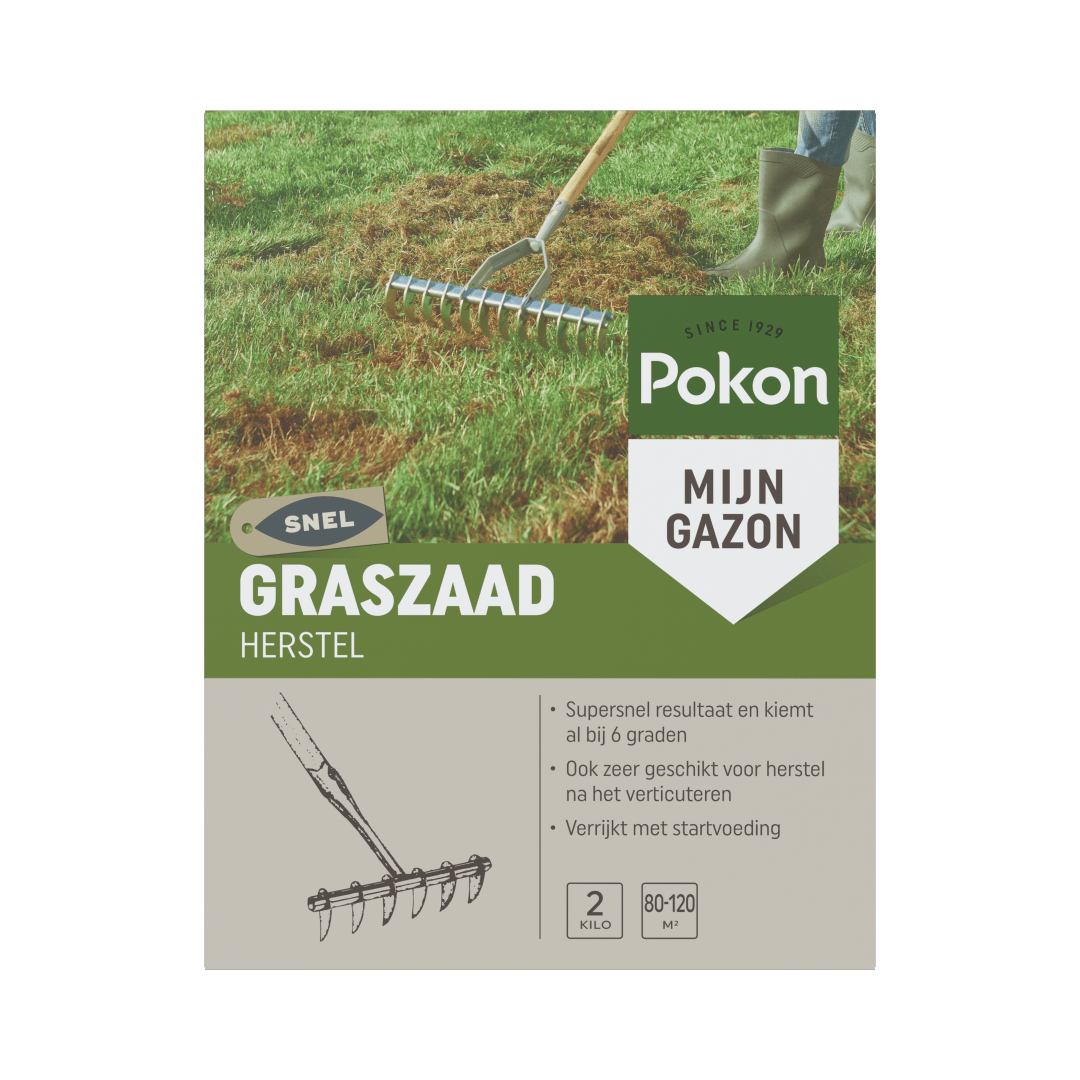 Pakket graszaad: een hark verspreidt herstellend zaad over een beschadigd gazon in een buitenomgeving met laarzen op het gras.

Getranscribeerde tekst:
SINCE 1929
Pokon
MIJN GAZON
SNEL
GRASZAAD
HERSTEL
Supersnel resultaat en kiemt al bij 6 graden
Ook zeer