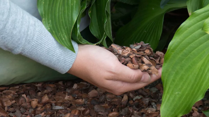 Bescherming tegen kou Bescherming tegen kou