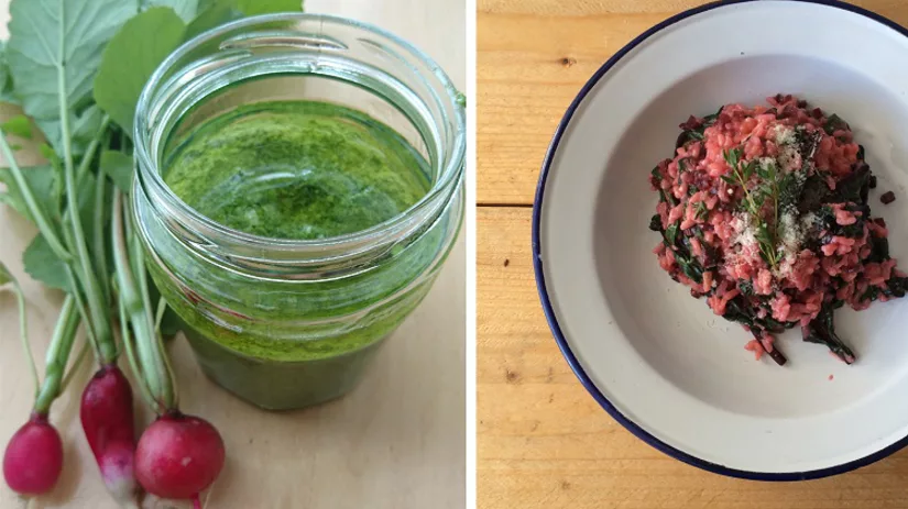 pesto-floor pesto-floor