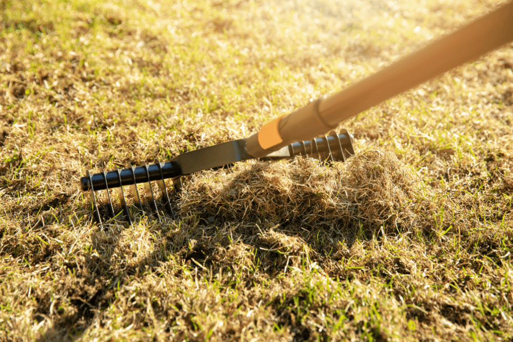 Gras verticuteren