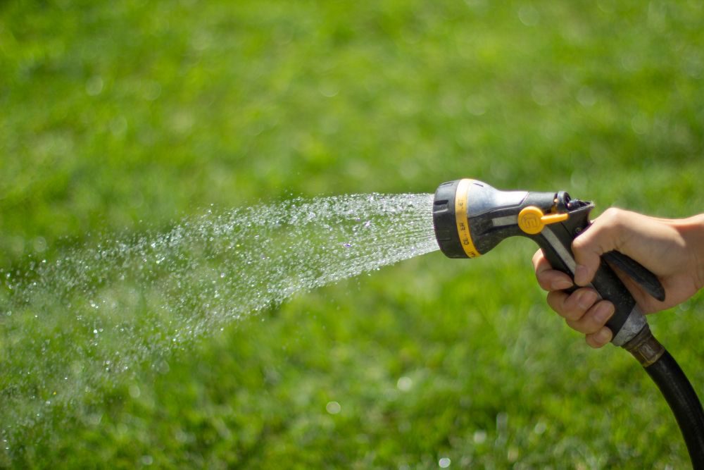 Hoe lang gras sproeien na zaaien?