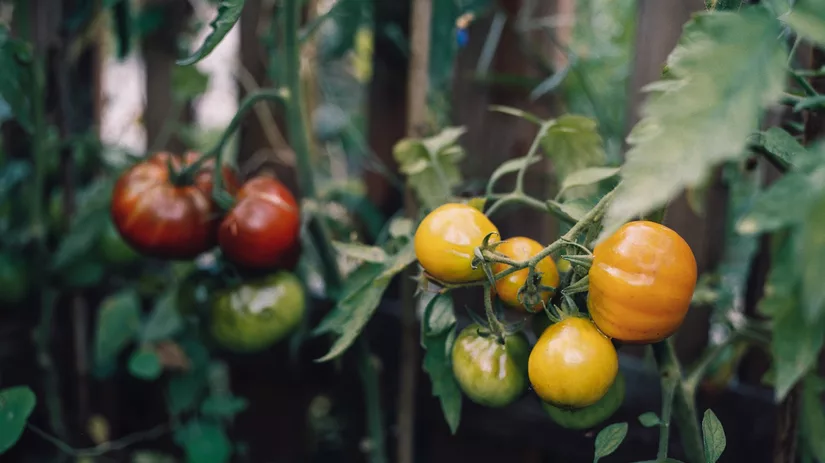 Hanke_Arkenbout_Photography_lifestyle_Floor_aug2021-65.jpg Hanke_Arkenbout_Photography_lifestyle_Floor_aug2021-65.jpg