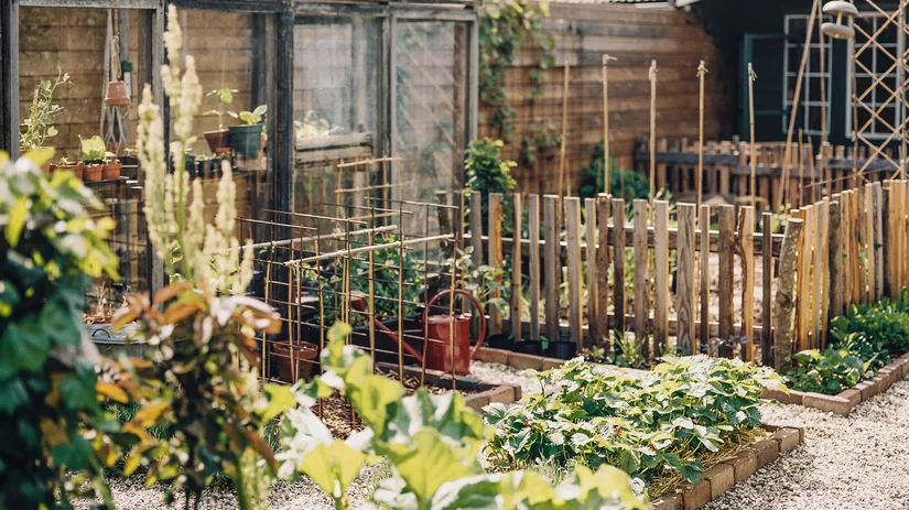 ‘Afval’ hergebruiken in de (moes)tuin ‘Afval’ hergebruiken in de (moes)tuin