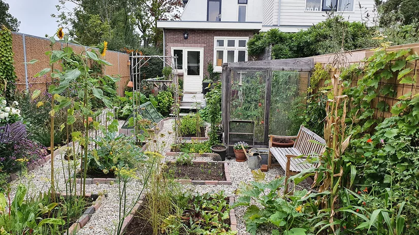 moestuin starten moestuin starten