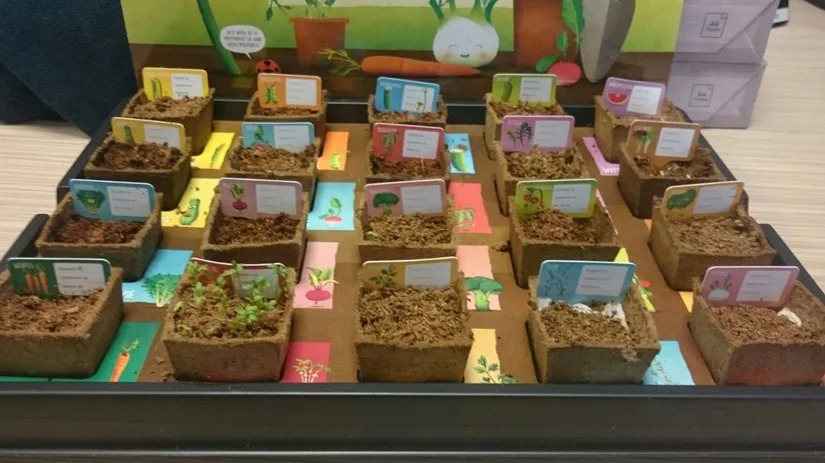 bakjes-moestuin-floor bakjes-moestuin-floor