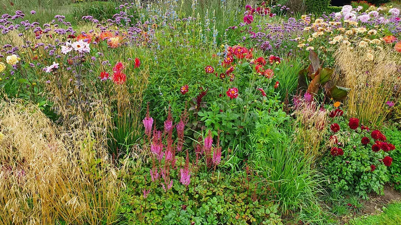 bloemen moestuin bloemen moestuin