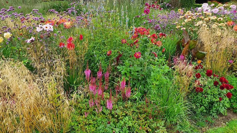 bloemen moestuin bloemen moestuin