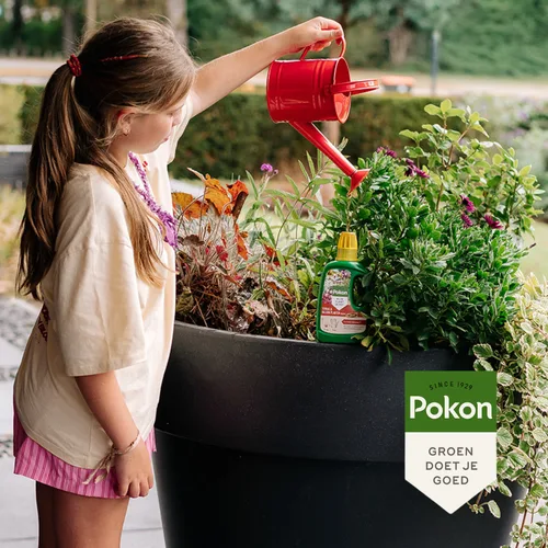 Meisje giet met een rode gieter water over planten in een grote zwarte bloempot op een terras, dichtbij een fles plantenvoeding zichtbaar. Tekst: "Pokon", "SINCE 1929", "GROEN DOET JE GOED".
