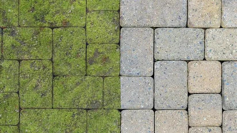 Groene aanslag.jpg Groene aanslag.jpg