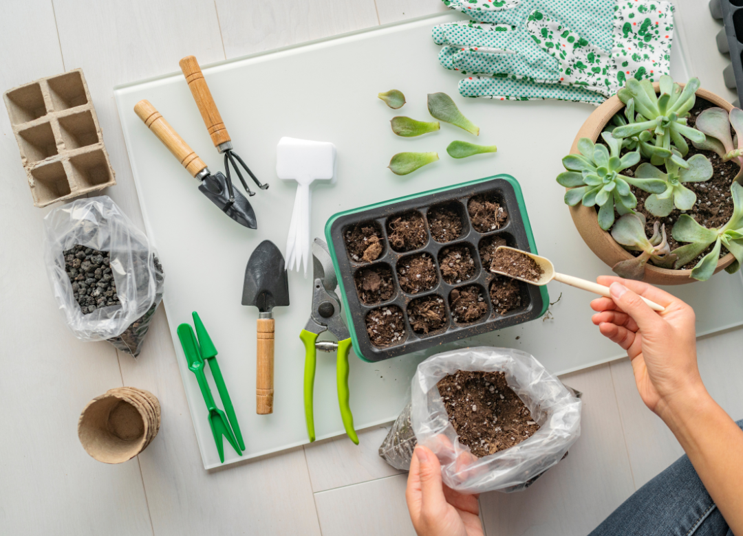 Moestuin budgettips voor beginners