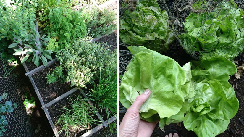 floor-foto1-schaduw floor-foto1-schaduw