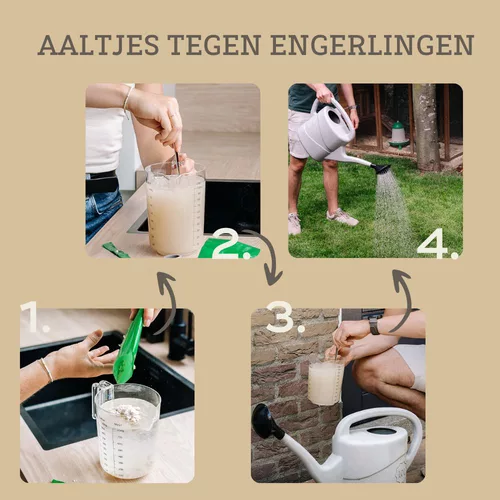 aaltjes tegen engerlingen