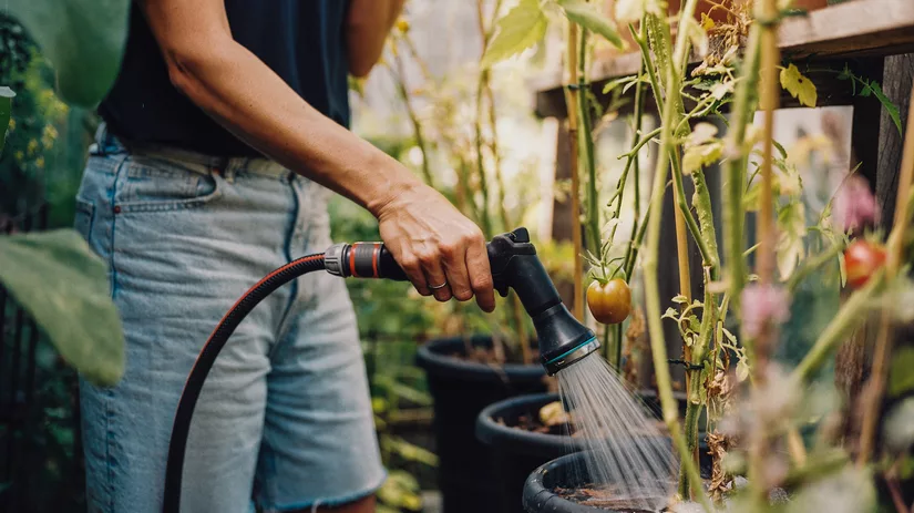 Water geven aan je planten Water geven aan je planten