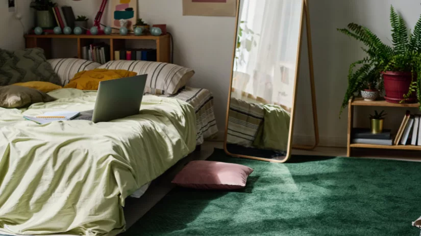 Kamerplanten voor in de slaapkamer Kamerplanten voor in de slaapkamer