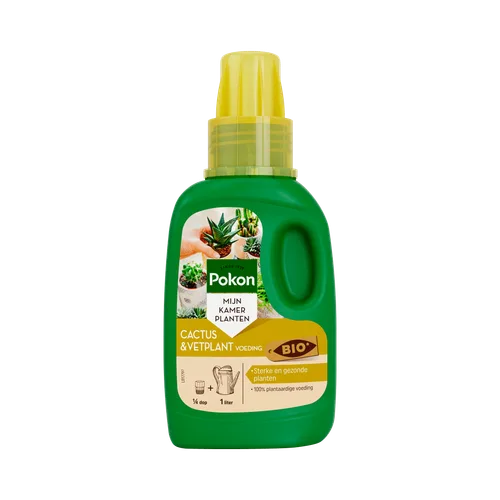 Groene kunststoffles plantenvoeding staat rechtop, etiket toont vetplantfoto's en doseerinstructies tegen een effen achtergrond.
Gevonden tekst (transcriptie):
SINCE 1929
Pokon
MIJN KAMER PLANTEN
CACTUS & VETPLANT VOEDING
BIO
Sterke en gezonde planten
10