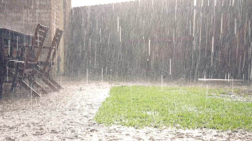 Je tuin hoosbui- en hitteproof maken Je tuin hoosbui- en hitteproof maken