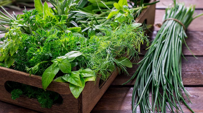 Zelf kruiden kweken: tips & inspiratie Zelf kruiden kweken: tips & inspiratie