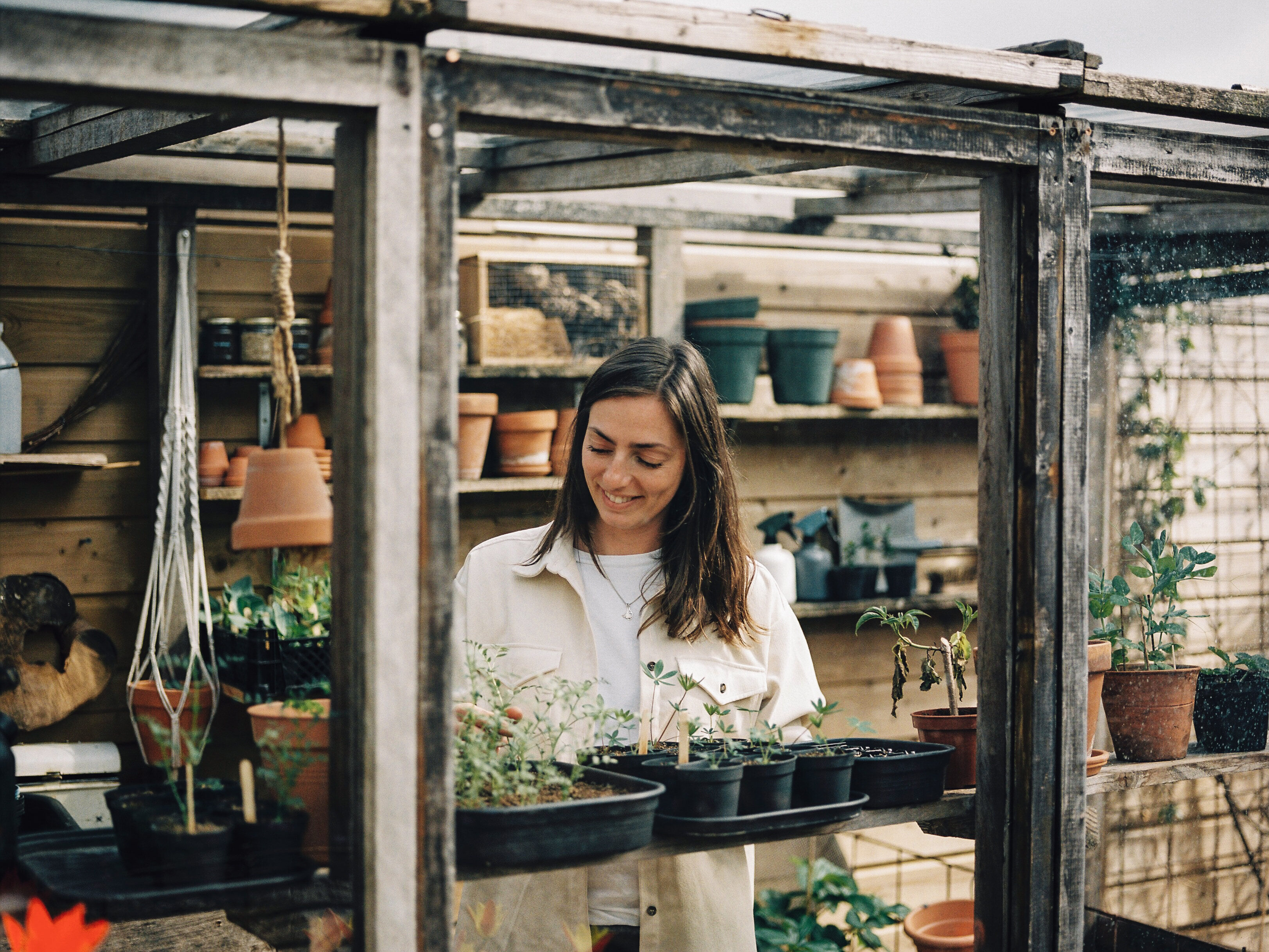 Zaaitips voor de moestuin