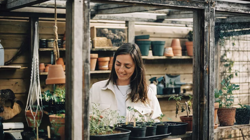 Zaaitips voor de moestuin Zaaitips voor de moestuin