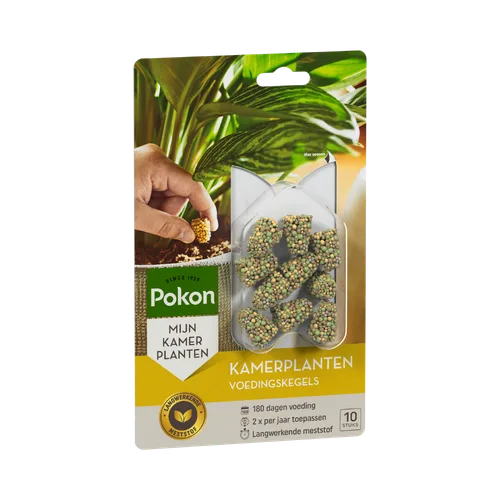 Voedingskegels in blisterverpakking — hand plaatst een kegeltje in potgrond — context: pot met groene kamerplant op verpakkingsachtergrond.
Gevonden tekst:
SINCE 1929
Pokon
MIJN KAMER PLANTEN
KAMERPLANTEN
VOEDINGSKEGELS
Hier openen
180 dagen voeding
2 x